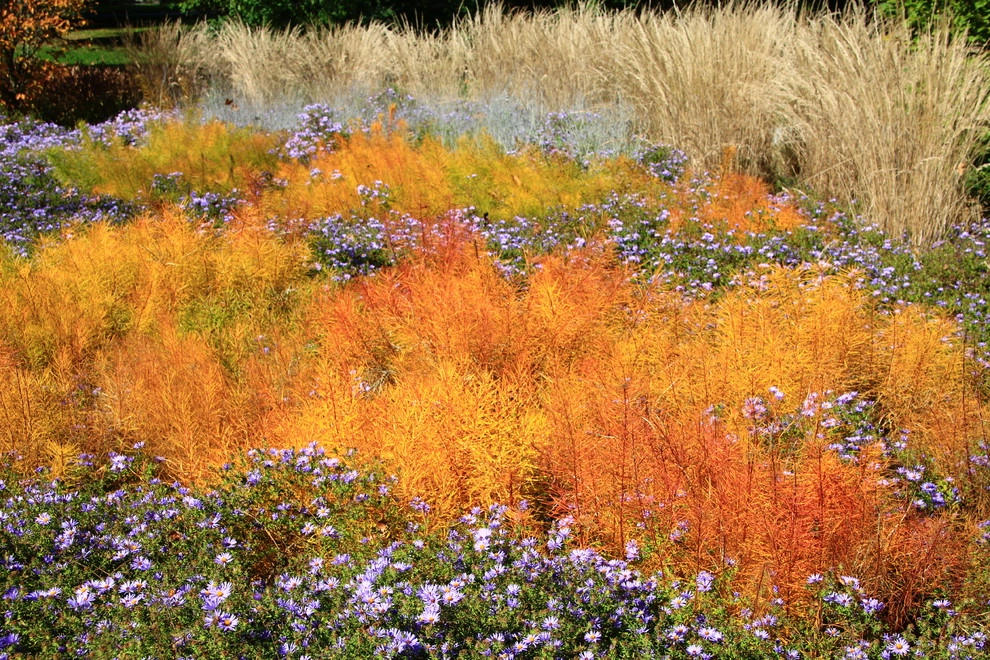Fiery Entrance, Villanova by Donald Pell - Gardens - Photo 3