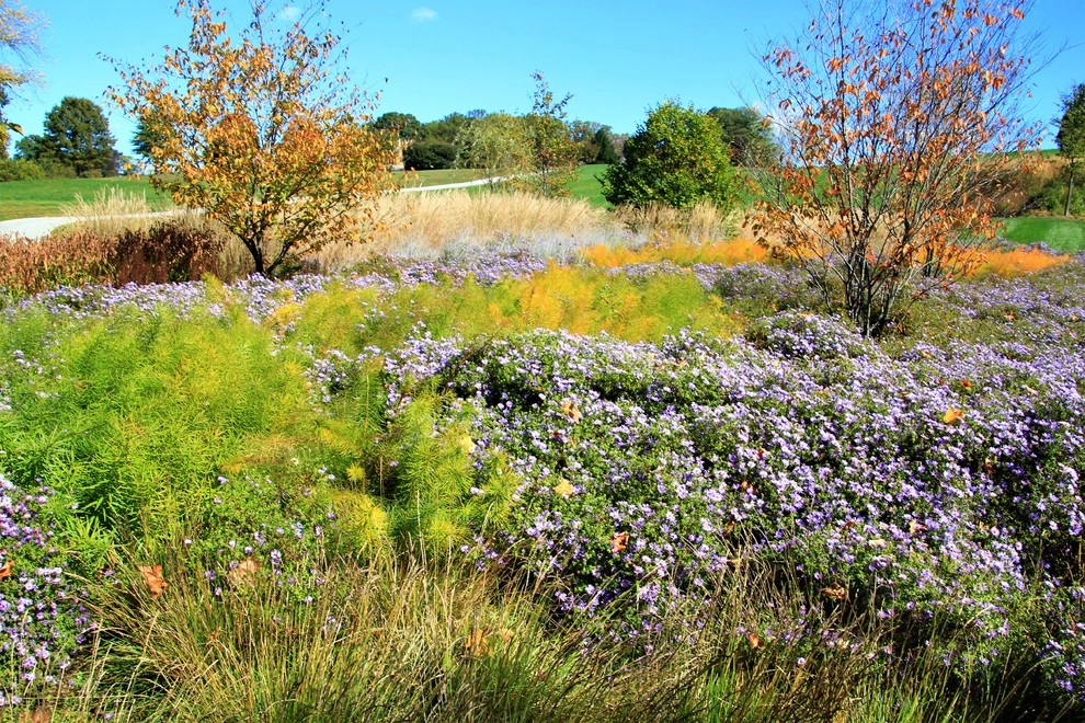Fiery Entrance, Villanova by Donald Pell - Gardens - Photo 4
