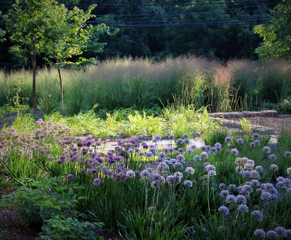 Colonial Farmhouse Garden, Royersford by Donald Pell - Gardens - Photo 22