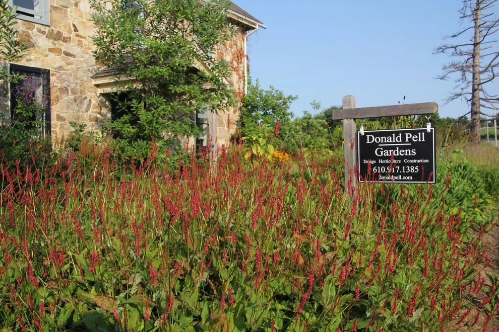 Aristocratic Plants by Donald Pell - Gardens - Photo 5