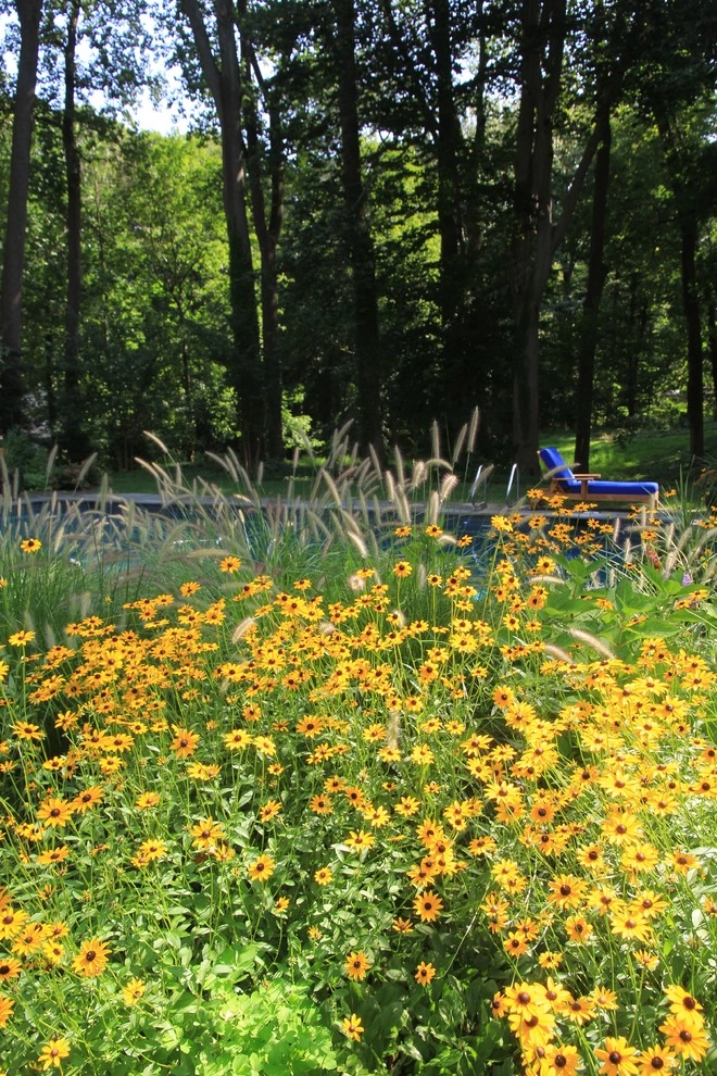 Aristocratic Plants by Donald Pell - Gardens - Photo 11