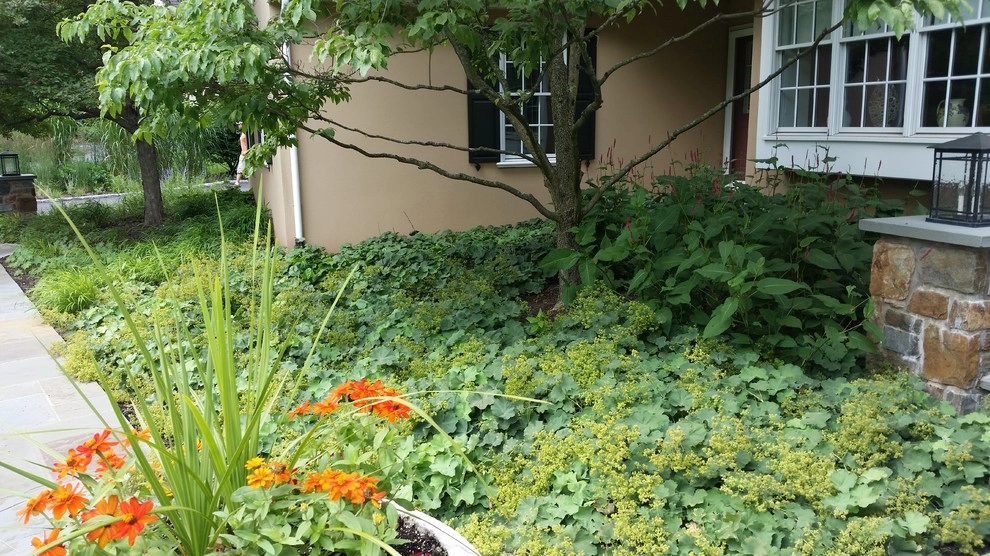 Suburban Neighborhood Garden, Wayne PA by Donald Pell - Gardens - Photo 14