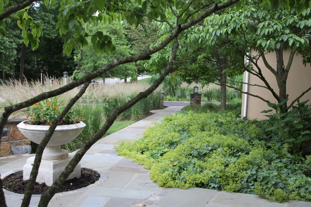 Suburban Neighborhood Garden, Wayne PA by Donald Pell - Gardens - Photo 15