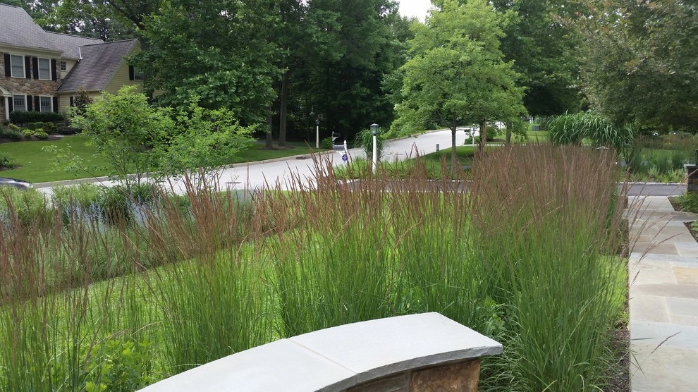 Suburban Neighborhood Garden, Wayne PA by Donald Pell - Gardens - Photo 9