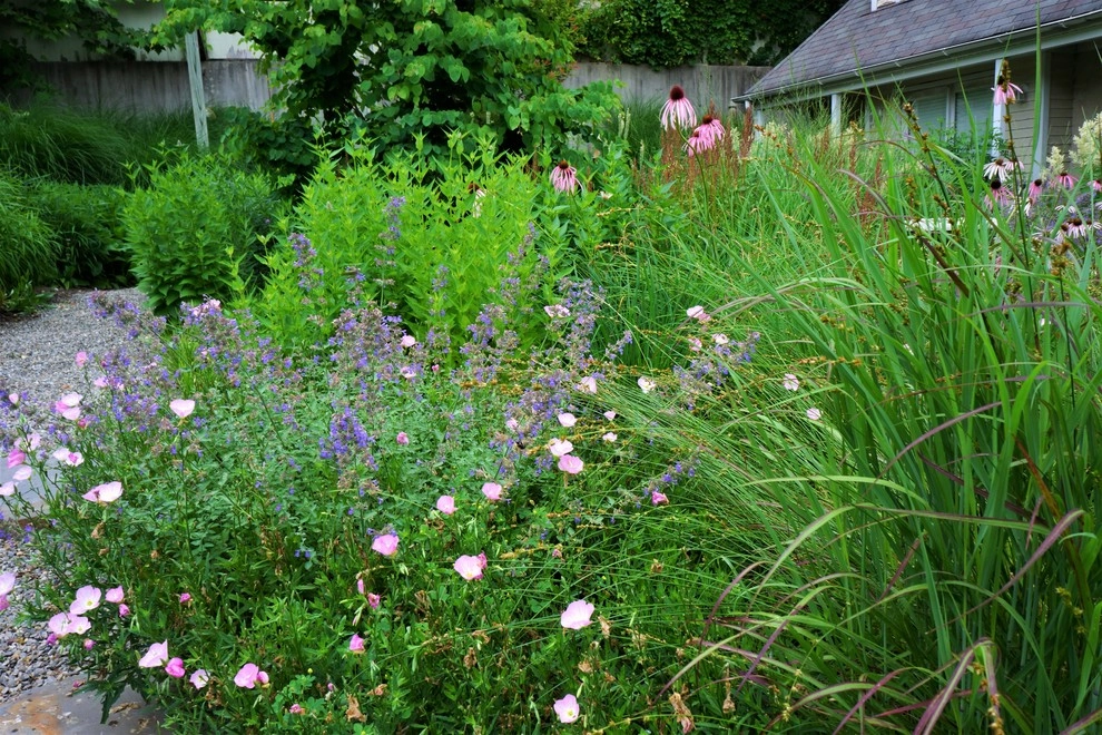 Valley Forge Garden by Donald Pell - Gardens - Photo 2