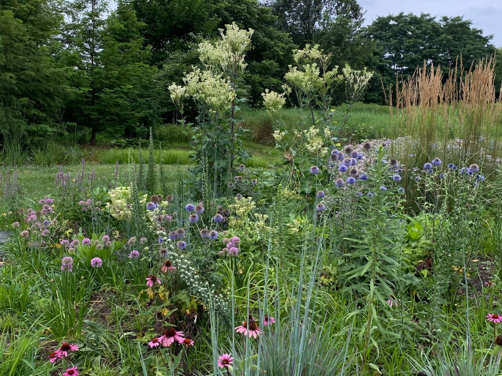 Donald Pell Studio Gardens, East Vincent Township by Donald Pell - Gardens - Photo 41