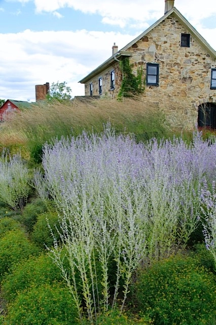 Donald Pell - Gardens - Photo 9