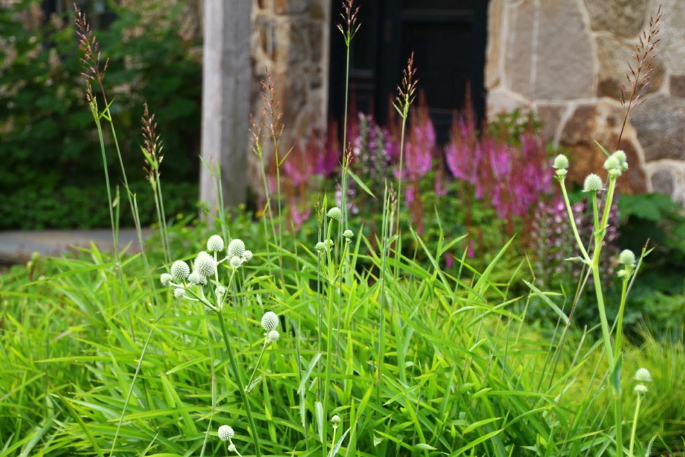 Donald Pell Studio Gardens, East Vincent Township by Donald Pell - Gardens - Photo 27