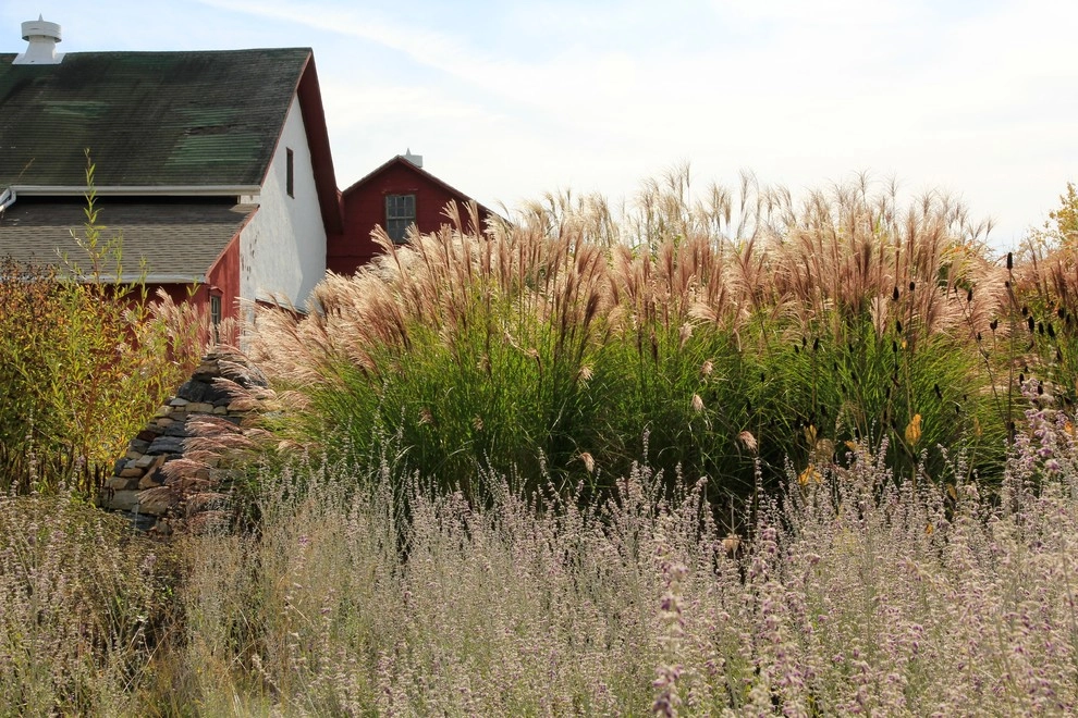 Donald Pell Studio Gardens, East Vincent Township by Donald Pell - Gardens - Photo 6