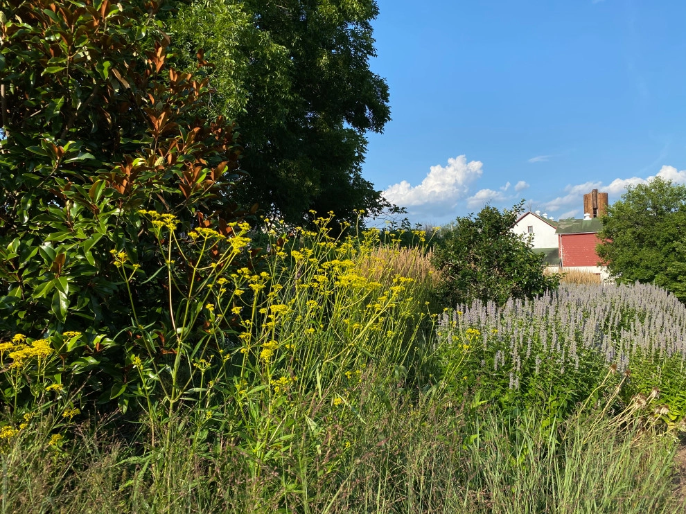 Donald Pell Studio Gardens, East Vincent Township by Donald Pell - Gardens - Photo 46