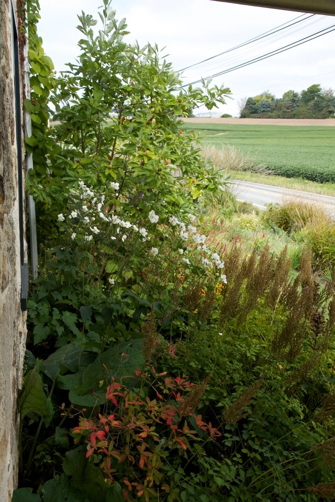 Donald Pell Studio Gardens, East Vincent Township by Donald Pell - Gardens - Photo 2