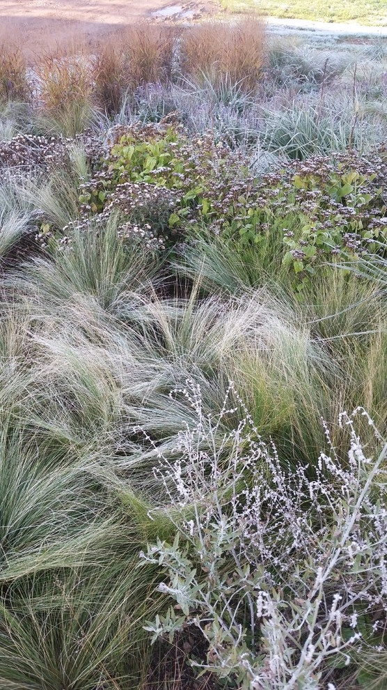 Donald Pell Studio Gardens, East Vincent Township by Donald Pell - Gardens - Photo 3