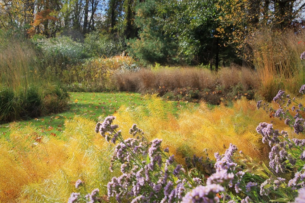 Malvern Garden by Donald Pell - Gardens - Photo 15