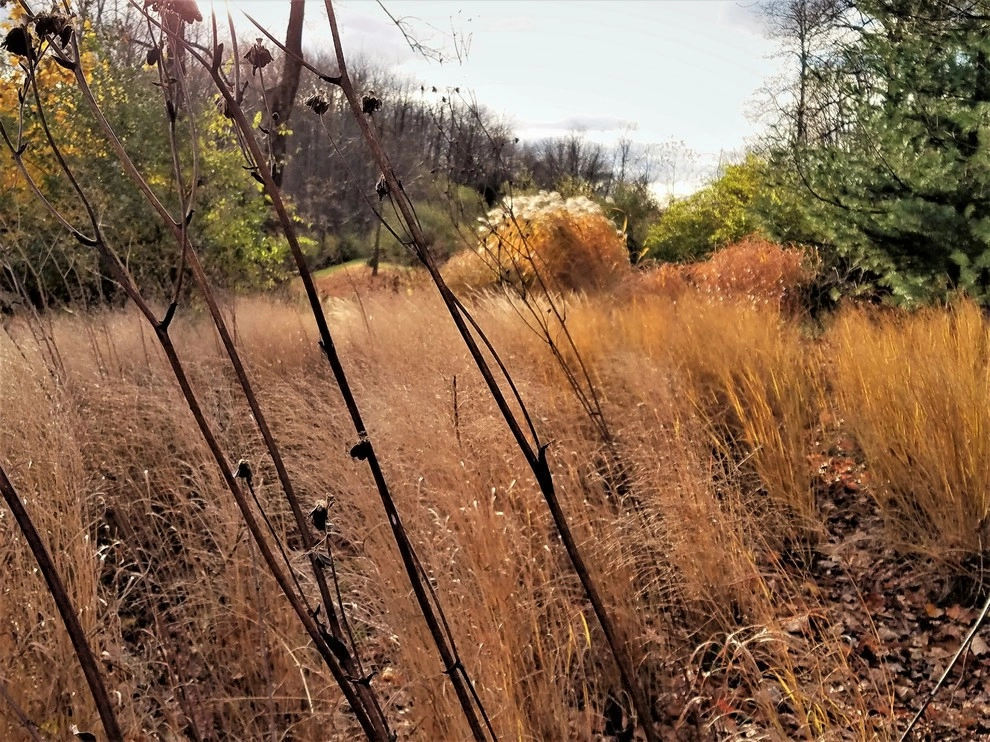 Malvern Garden by Donald Pell - Gardens - Photo 23