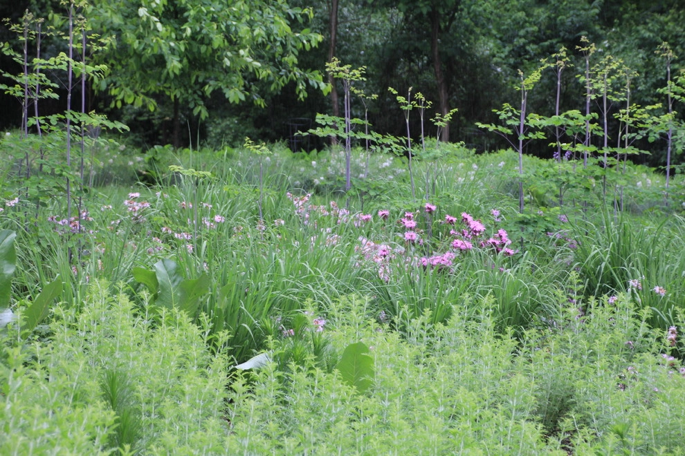 Malvern Garden by Donald Pell - Gardens - Photo 18