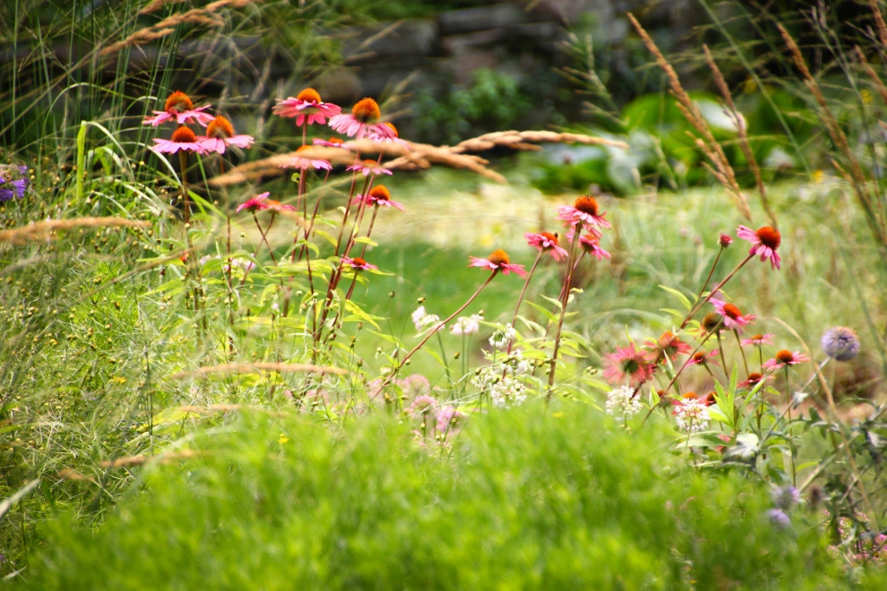 Gladwyne Garden II by Donald Pell - Gardens - Photo 3