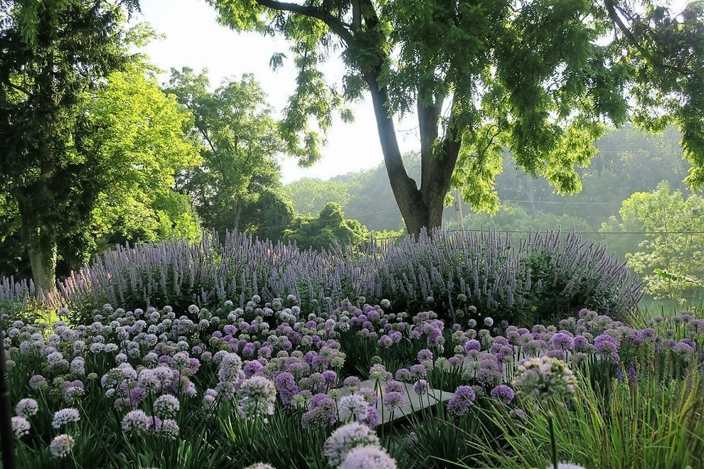 Colonial Farmhouse Garden, Royersford by Donald Pell - Gardens - Photo 18