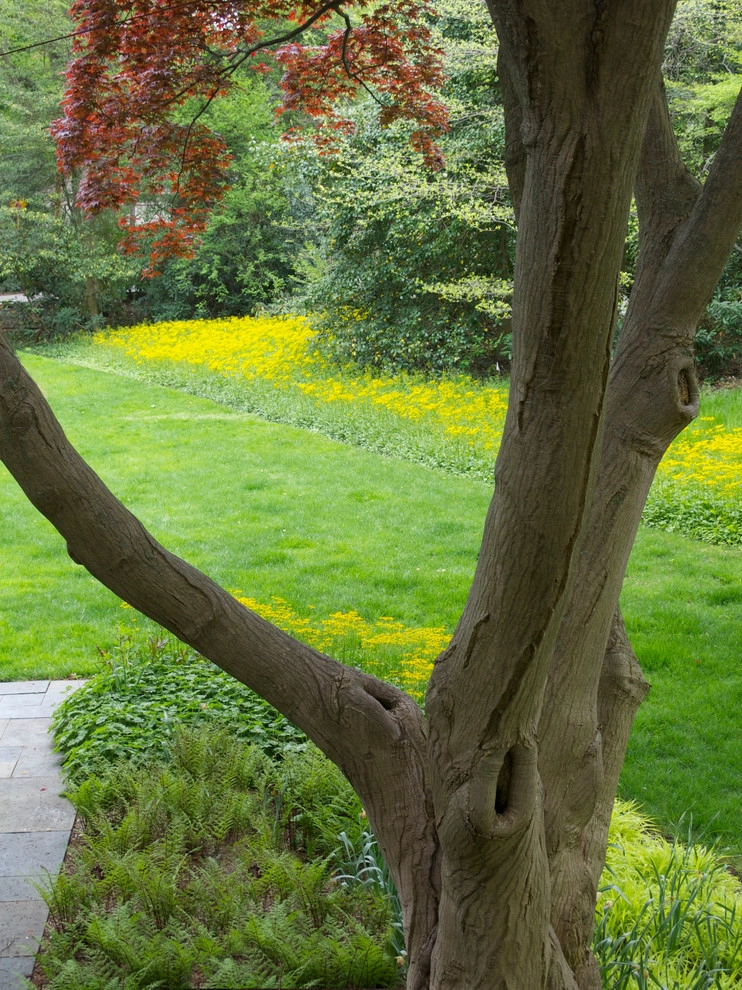 Neo Classical Landscape, Ardmore by Donald Pell - Gardens - Photo 13