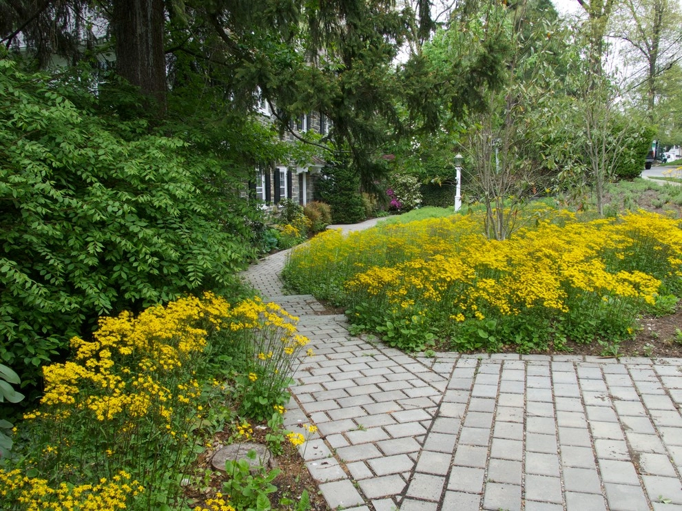Front Entry Garden (lawn replacement), Ardmore by Donald Pell - Gardens - Photo 2