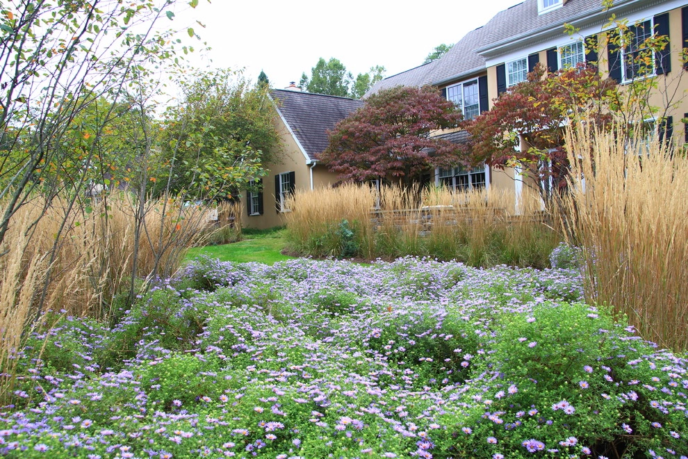 Suburban Neighborhood Garden, Wayne PA by Donald Pell - Gardens - Photo 16