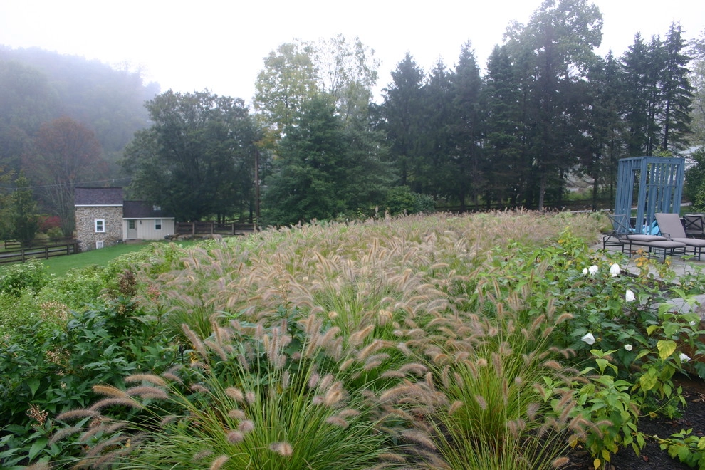 Teardrop Meadow, Birchrunville by Donald Pell - Gardens - Photo 11