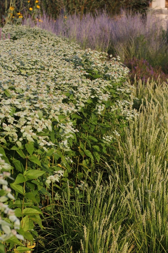 Donald Pell Studio Gardens, East Vincent Township by Donald Pell - Gardens - Photo 19