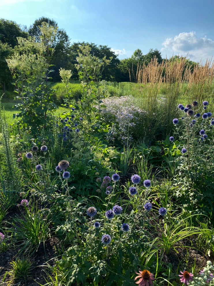 Donald Pell Studio Gardens, East Vincent Township by Donald Pell - Gardens - Photo 23