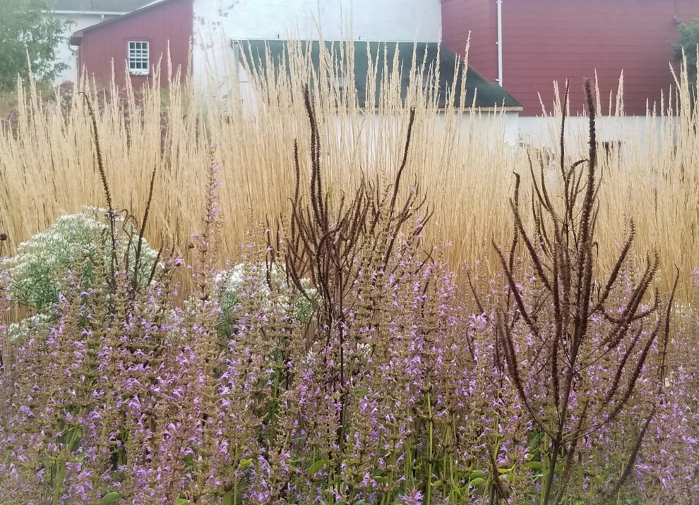 Donald Pell Studio Gardens, East Vincent Township by Donald Pell - Gardens - Photo 56