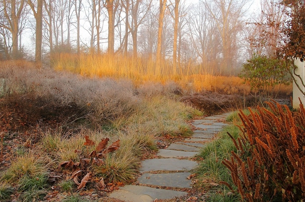 Malvern Garden by Donald Pell - Gardens - Photo 26