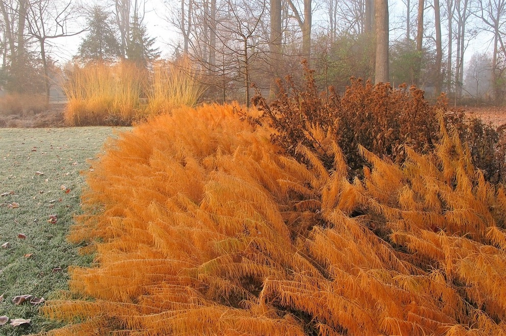 Malvern Garden by Donald Pell - Gardens - Photo 3