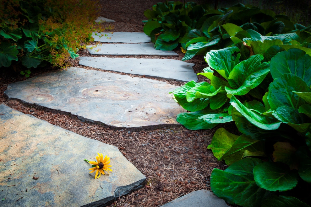 Forest Heights Flower Garden by Drake's 7 Dees Landscaping & Garden Center - Photo 11