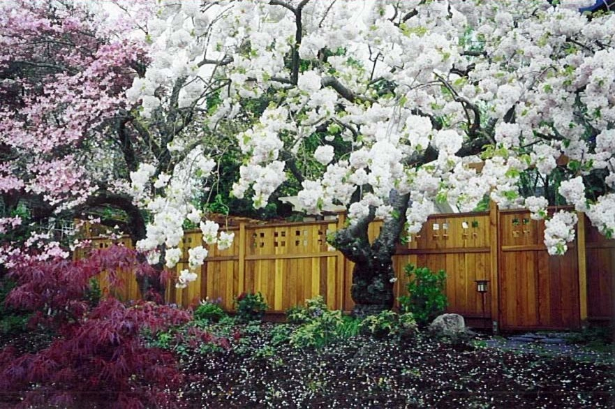 Various Landscape Projects by Drake's 7 Dees by Drake's 7 Dees Landscaping & Garden Center - Photo 7