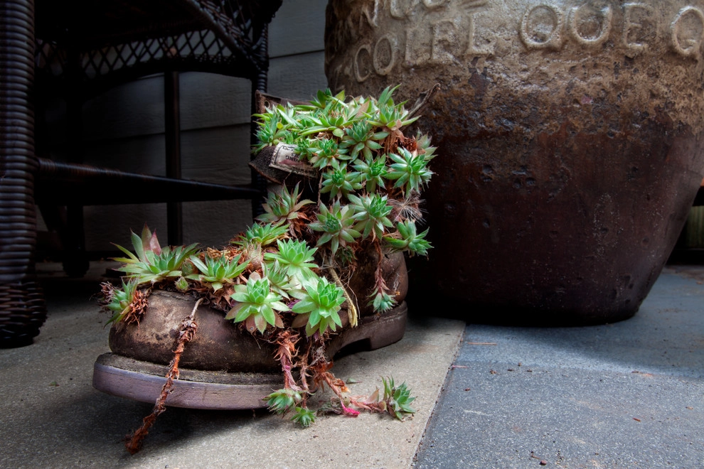 Vancouver Backyard Retreat by Drake's 7 Dees Landscaping & Garden Center - Photo 8