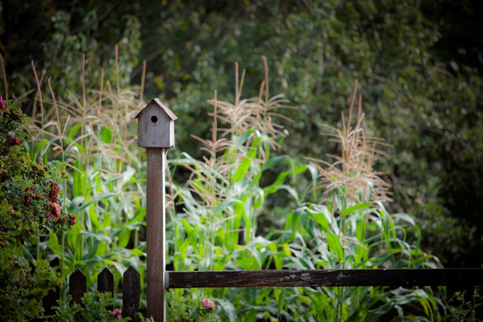Washougal Ranch by Drake's 7 Dees Landscaping & Garden Center - Photo 3