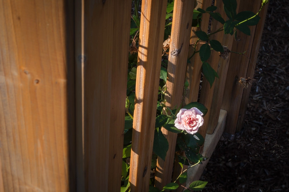 Forest Heights Flower Garden by Drake's 7 Dees Landscaping & Garden Center - Photo 10
