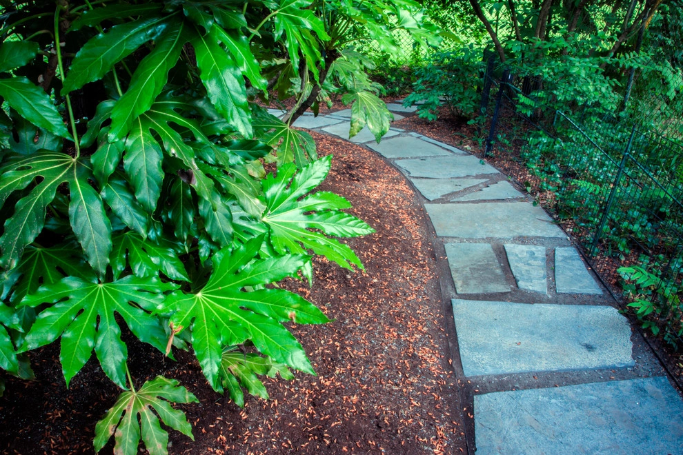 Audubon Backyard Habitat by Drake's 7 Dees Landscaping & Garden Center - Photo 10