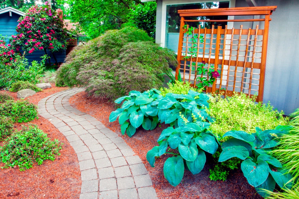 Audubon Backyard Habitat by Drake's 7 Dees Landscaping & Garden Center - Photo 8