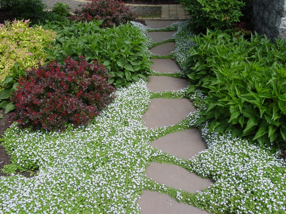 Various Landscape Projects by Drake's 7 Dees by Drake's 7 Dees Landscaping & Garden Center - Photo 2