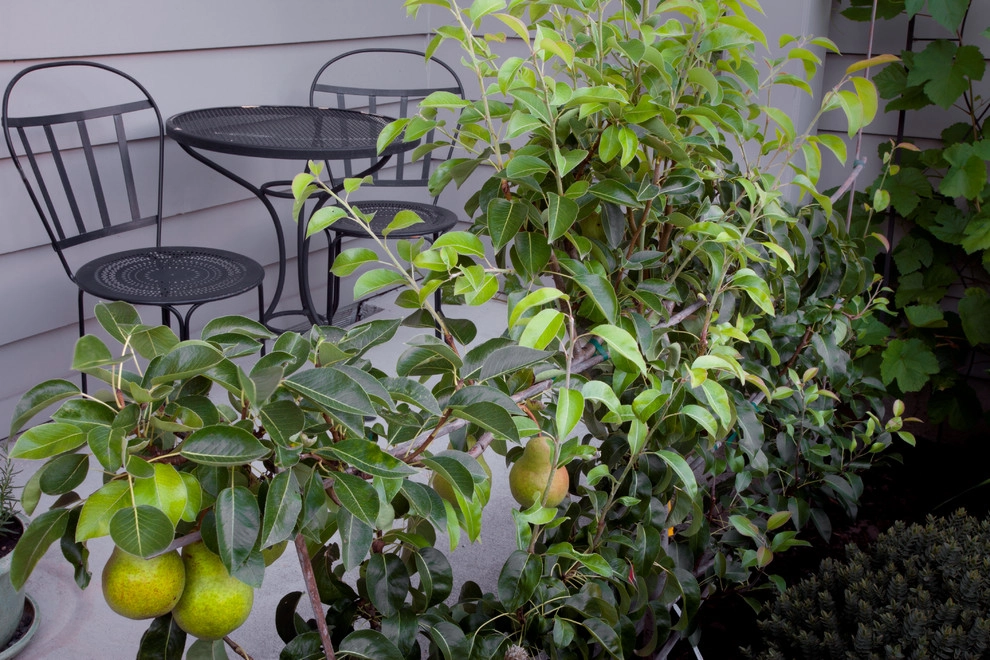 SW Portland Home by Drake's 7 Dees Landscaping & Garden Center - Photo 4