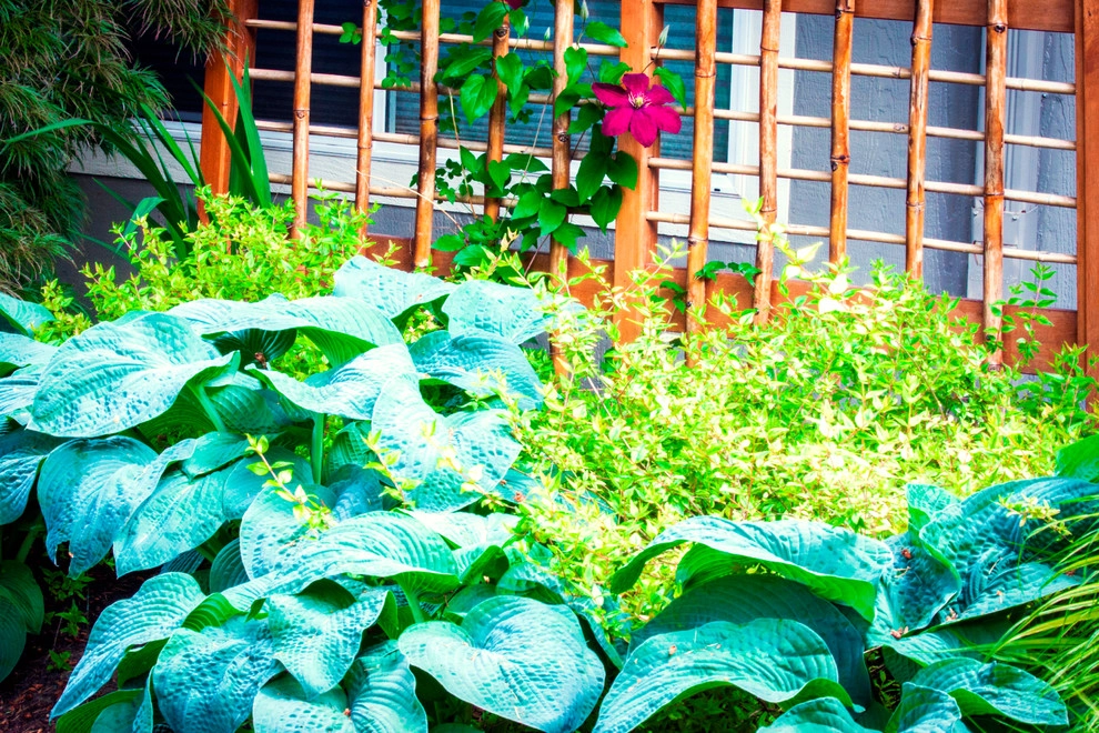Audubon Backyard Habitat by Drake's 7 Dees Landscaping & Garden Center - Photo 3