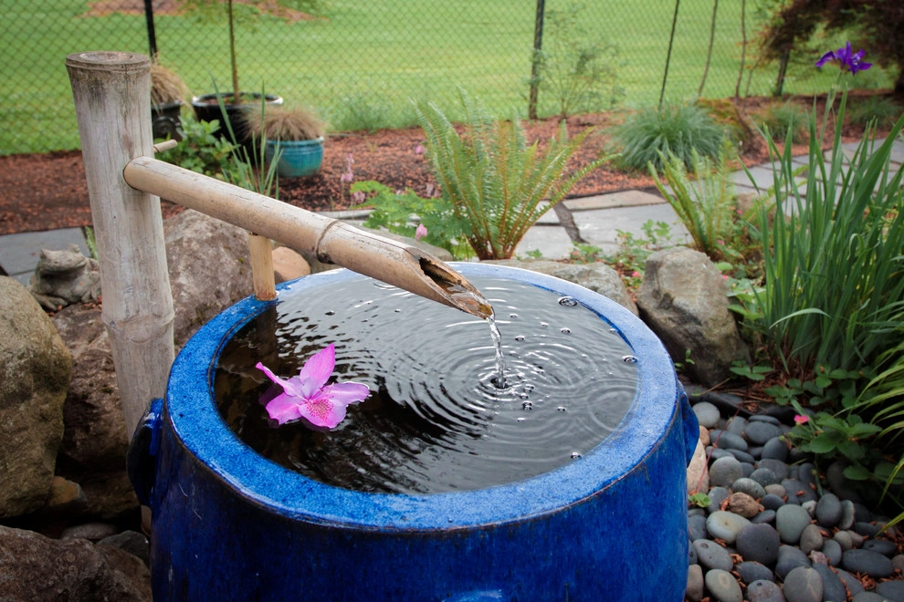 Audubon Backyard Habitat by Drake's 7 Dees Landscaping & Garden Center - Photo 13
