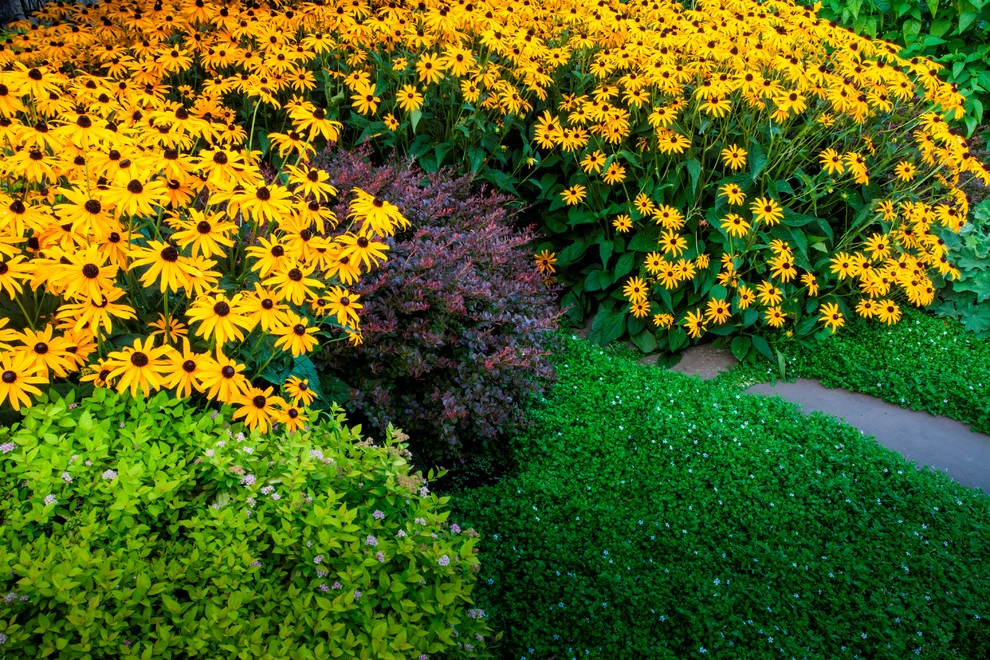 West Linn Residence by Drake's 7 Dees Landscaping & Garden Center - Photo 13