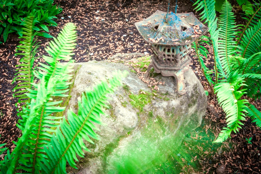 Audubon Backyard Habitat by Drake's 7 Dees Landscaping & Garden Center - Photo 12