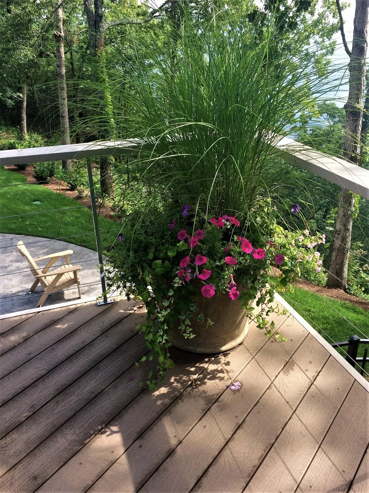 Elder Mountain Woodland Estate by Dream Gardens Landscape Design & Installation - Photo 12
