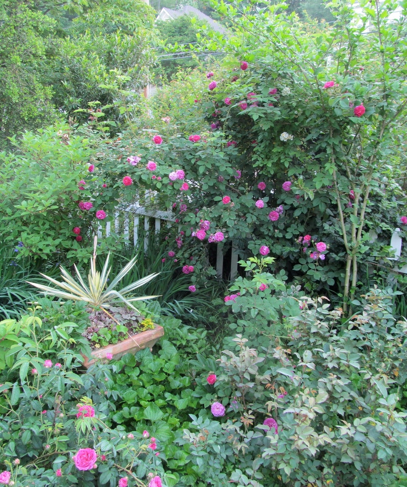 St Elmo Historic Cottage by Dream Gardens Landscape Design & Installation - Photo 26