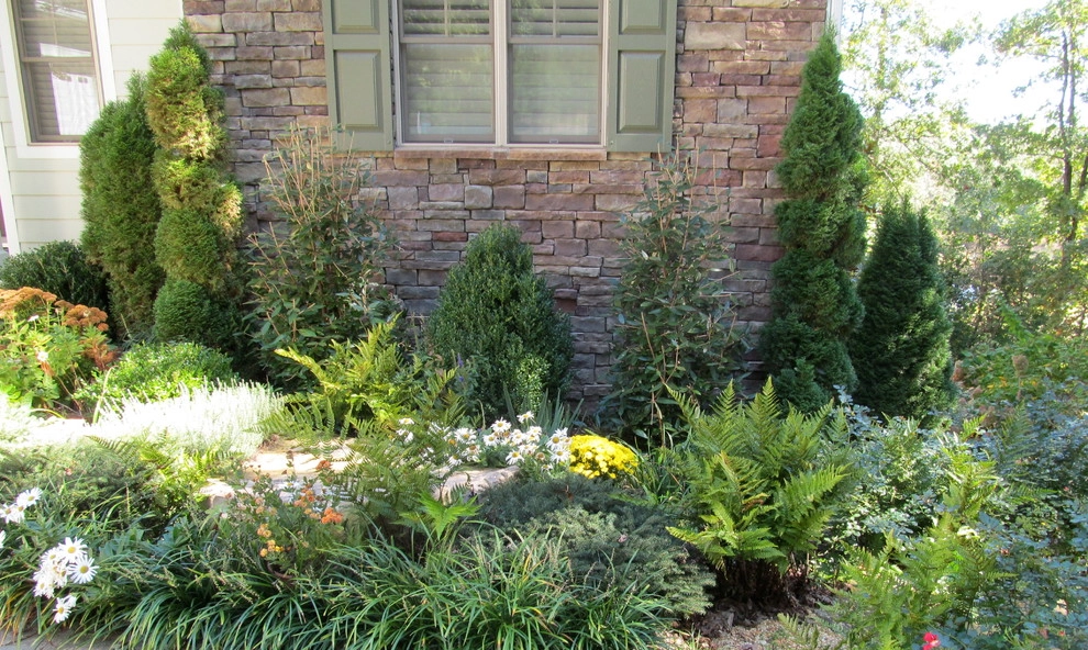 Mixed Styles by Dream Gardens Landscape Design & Installation - Photo 12