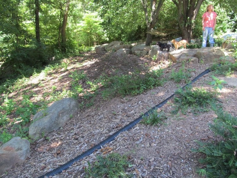 Signal Mountain Rain Garden by Dream Gardens Landscape Design & Installation - Photo 5