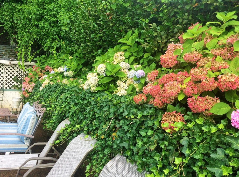 Dream Gardens Landscape Design & Installation - Photo 10