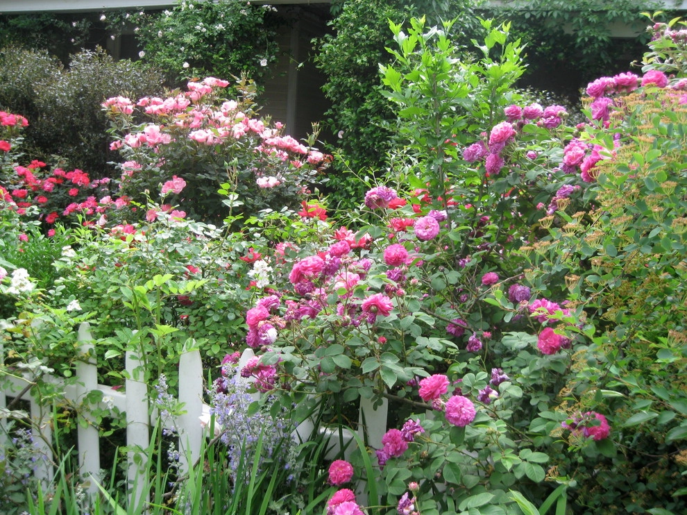 St Elmo Historic Cottage by Dream Gardens Landscape Design & Installation - Photo 21