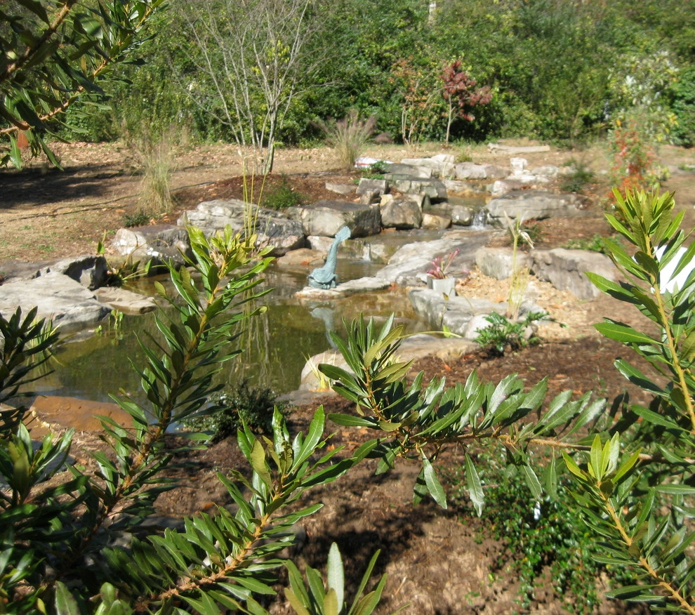 Signal Mountain Native Plant Garden by Dream Gardens Landscape Design & Installation - Photo 4